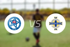 斯洛伐克vs北爱尔兰比分预测【2025/11/15】