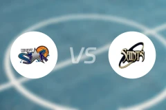 贝尔法斯特星队vs圣文森都柏林比分预测【2026/02/15】