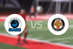 萨瑟兰鲨鱼vs新南威尔士大学比分预测【2026/03/14】