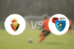 维格瓦尔特vs比堤欧纳克比分预测【2026/01/10】