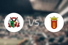 瓦瑞vs维安纳斯比分预测【2026/03/15】