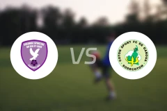 科隆杜vs考顿体育比分预测【2026/04/08】