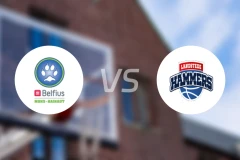 贝尔菲乌斯山vs兹沃勒比分预测【2026/04/12】