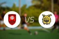 EPS埃斯波vs埃尔维斯B队比分预测【2026/04/25】