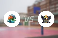 合肥文旅女篮vs石家庄英励女篮录像回放【2026/02/08】