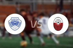 斯库皮vs斯肯迪亚比分预测【2025/11/15】