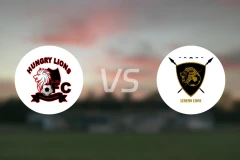 饿狮vs勒鲁莫狮子比分预测【2026/03/07】