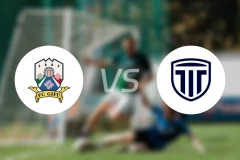 FC岐阜vs枥木市FC比分预测【2025/11/15】