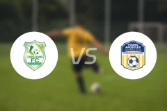 加纳梦想FCvs使徒青年人比分预测【2026/01/23】