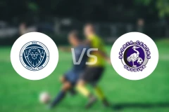 里加FCvs格洛比纳比分预测【2024/08/31】