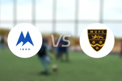 托基联vs梅德斯托联比分预测【2025/11/15】