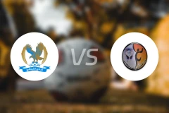 费萨里vs沙汉比分预测【2025/11/05】