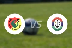 史蒂夫比科vs冈比亚港比分预测【2026/01/24】