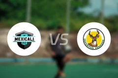 墨西卡利vs维纳多斯竞技比分预测【2026/03/29】