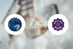 爱荷华狼队vs山谷太阳比分预测【2026/01/14】