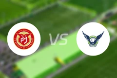 FC琉球冲绳vs鸟取飞翔比分预测【2024/08/31】