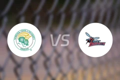 诺佛克州立大学vs特拉华州立大学比分预测【2026/01/11】