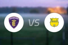 埃及电信vs玛列亚特比分预测【2026/01/23】