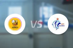 英塔黄蜂vs田川比分预测【2024/09/02】
