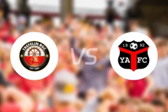 特雷费林BGCvs伊尼希尔比恩斯比分预测【2026/02/21】