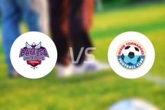 巴耶尔萨联vs尼日尔FC比分预测【2026/01/28】