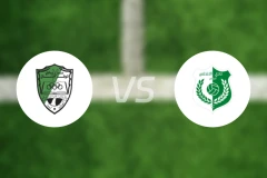 韦法克阿吉达比亚vs阿尔安达卢西比分预测【2026/02/24】