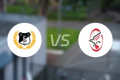 迪比辛尼vs斯佐诺基比分预测【2025/11/21】