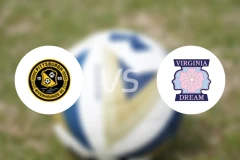 匹兹堡猎犬河队vs弗吉尼亚梦比分结果战报【2026/04/01】