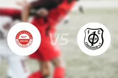 沃尔多夫vsFC埃德斯海姆比分预测【2024/10/26】