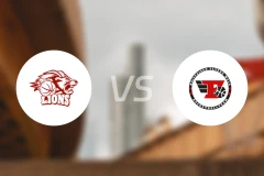 雄狮vs韦尔斯飞人比分预测【2026/01/26】