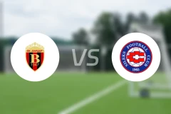 华达vs施历斯比分预测【2025/10/31】