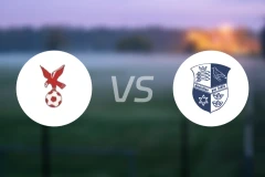 怀特豪克vs云吉特比分预测【2026/04/04】