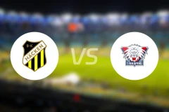 赫根女足vs林雪平女足比分预测【2025/11/02】