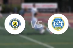 普莱森特法山vs哈波尔维比分预测【2026/01/19】