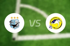 台中蓝鲸女足vs新北航源女足比分预测【2026/01/24】