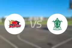 岩手大公牛vs横滨卓越比分预测【2025/12/10】