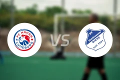 吕内堡vs霍尔特豪森蜜蜂比分预测【2025/11/02】