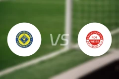 亨默特罗斯vs沃尔多夫比分预测【2025/12/06】