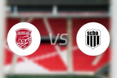 阿加里卜vs阿洛斯比分预测【2025/11/16】