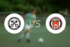 汉德尼斯佛vs海德联比分预测【2025/11/12】