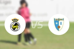 林恩斯vs卢辛纳比分预测【2025/11/23】