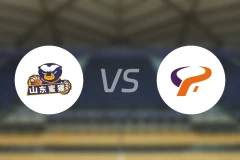 山东蜜獾vs杭州经纬录像回放【2025/12/29】