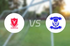 戴瓦隆维立vs斯特拉斯佩蓟比分预测【2026/01/03】