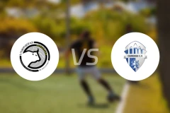 萨拉曼卡统一者vs奥尔伦斯比分预测【2026/02/08】