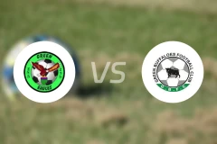 绿鹰vs绿色水牛比分预测【2025/11/30】