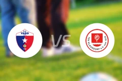 瓦多vsTSV克劳斯多夫比分预测【2025/11/30】