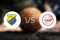 韦特申vs埃格斯托夫比分预测【2025/11/22】