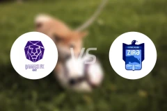 沙马基vs兹拉比分预测【2025/12/13】