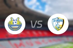 盖迪亚瓦耶vs林盖尔比分预测【2025/11/17】