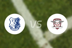 法鲁尔vs布加勒斯特快速比分预测【2026/02/15】